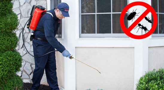 Yenişarbademli Haşere İlaçlama böcek ilaçlama ve haşere kontrolü — ilaclama-tr.com